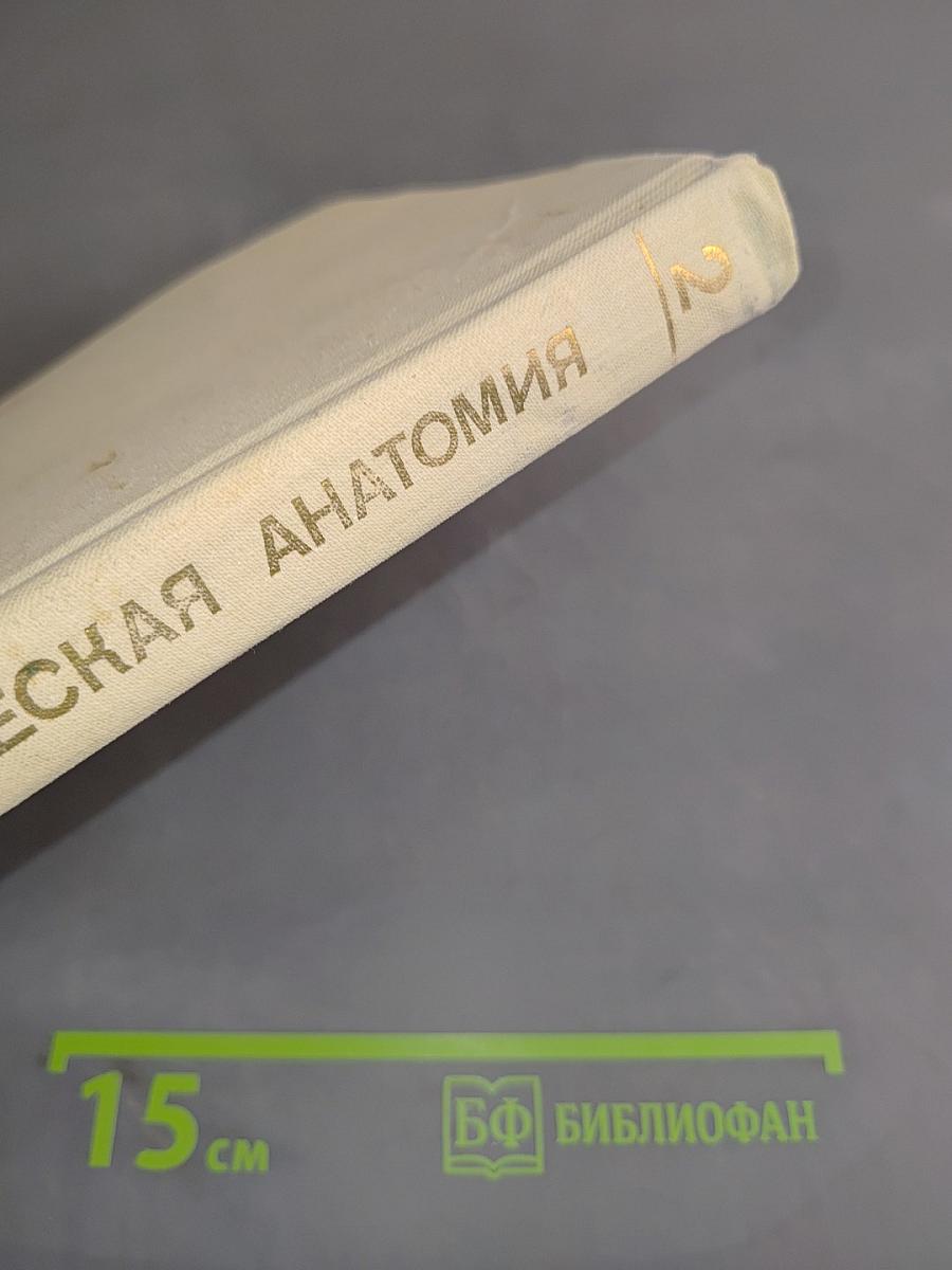 Патологическая анатомия болезней плода и ребенка. Руководство для врачей. В 2 томах. Том 2