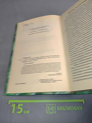 Странствия мага. Том первый. Хранитель мечей. Книга вторая