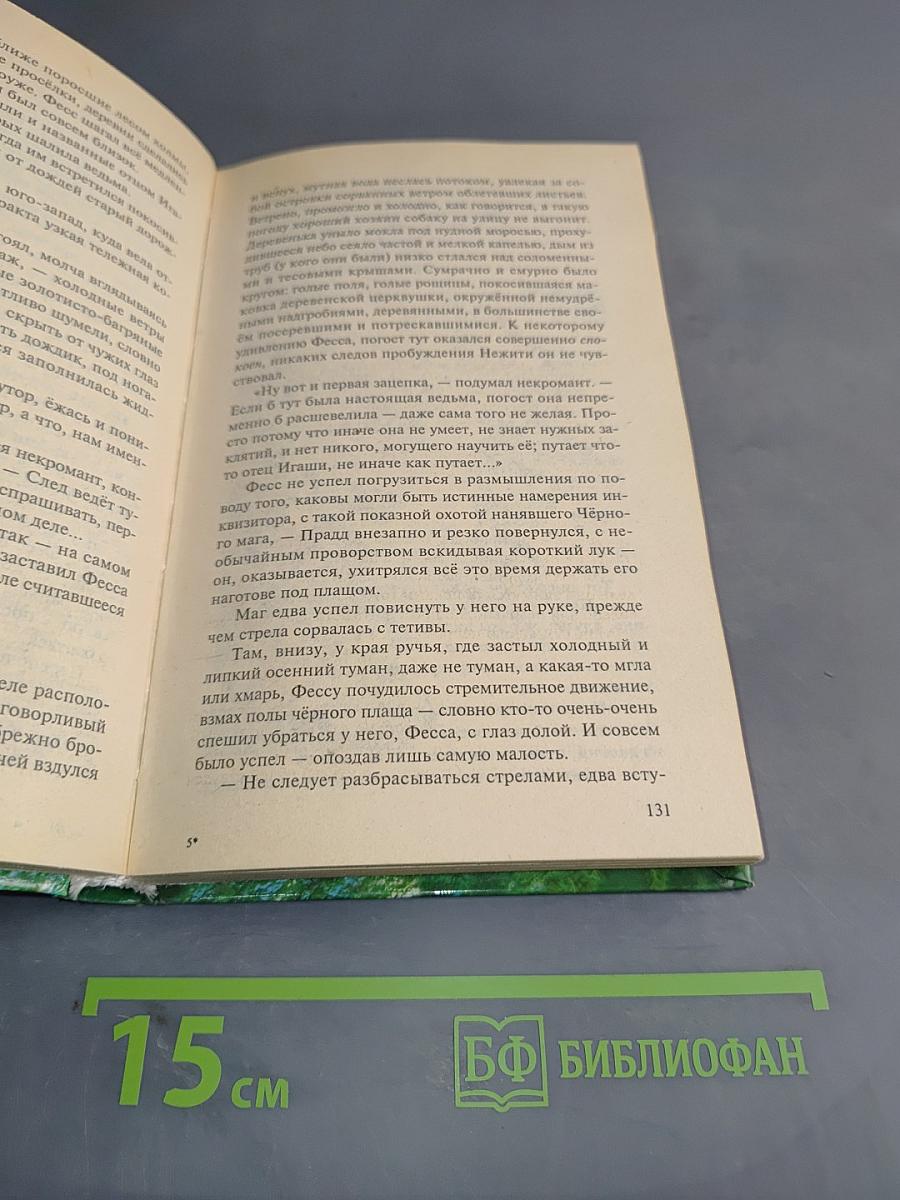Странствия мага. Том первый. Хранитель мечей. Книга вторая