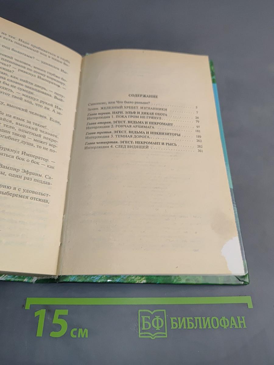 Странствия мага. Том первый. Хранитель мечей. Книга вторая