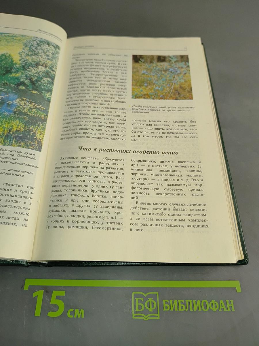 Лесная косметика
