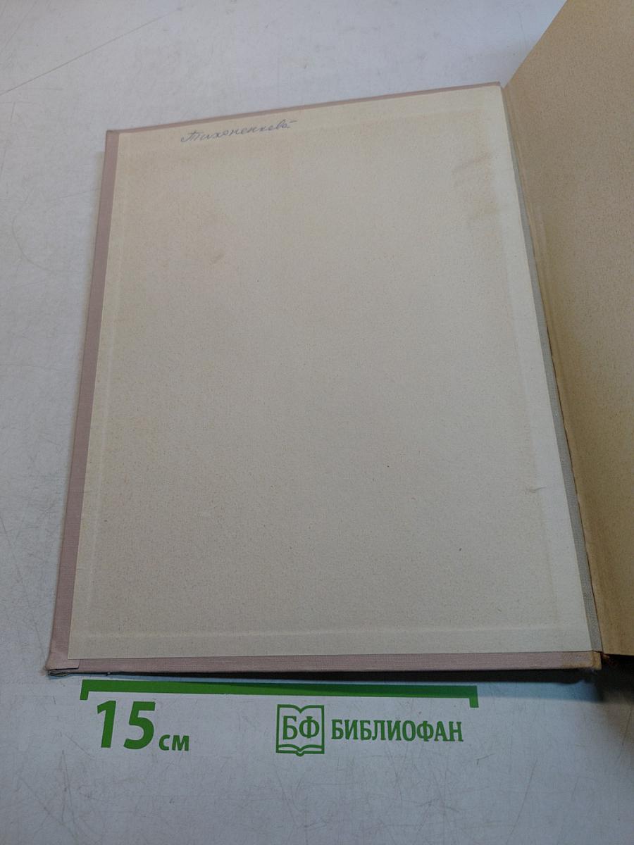 Всеобщая история искусств. Том второй. Искусство средних веков. Книга вторая