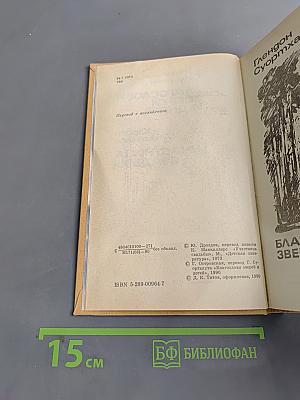 Благослови зверей и детей. Участница свадьбы