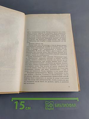 Благослови зверей и детей. Участница свадьбы