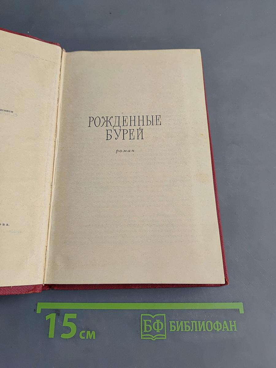 Рожденные бурей