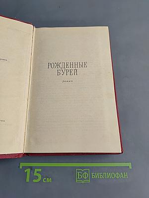 Рожденные бурей