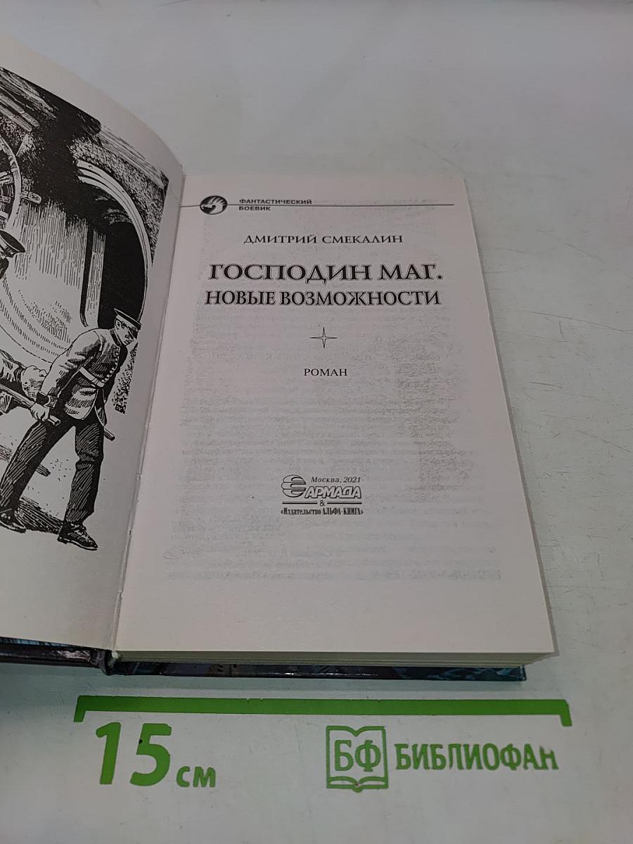 Господин маг. Новые возможности
