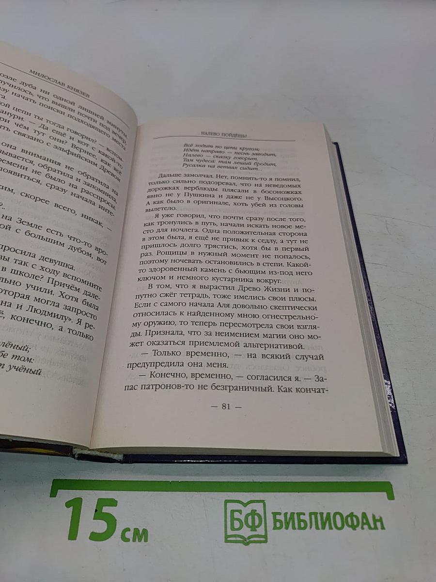 Дорога. Книга первая. Налево пойдешь?