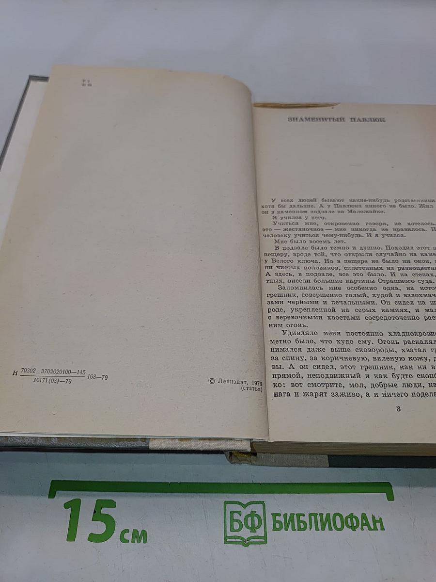 Испытательный срок. Повести и рассказы