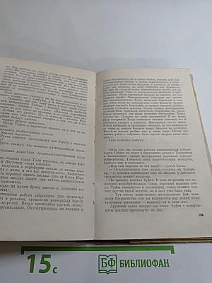 Как закалялась сталь