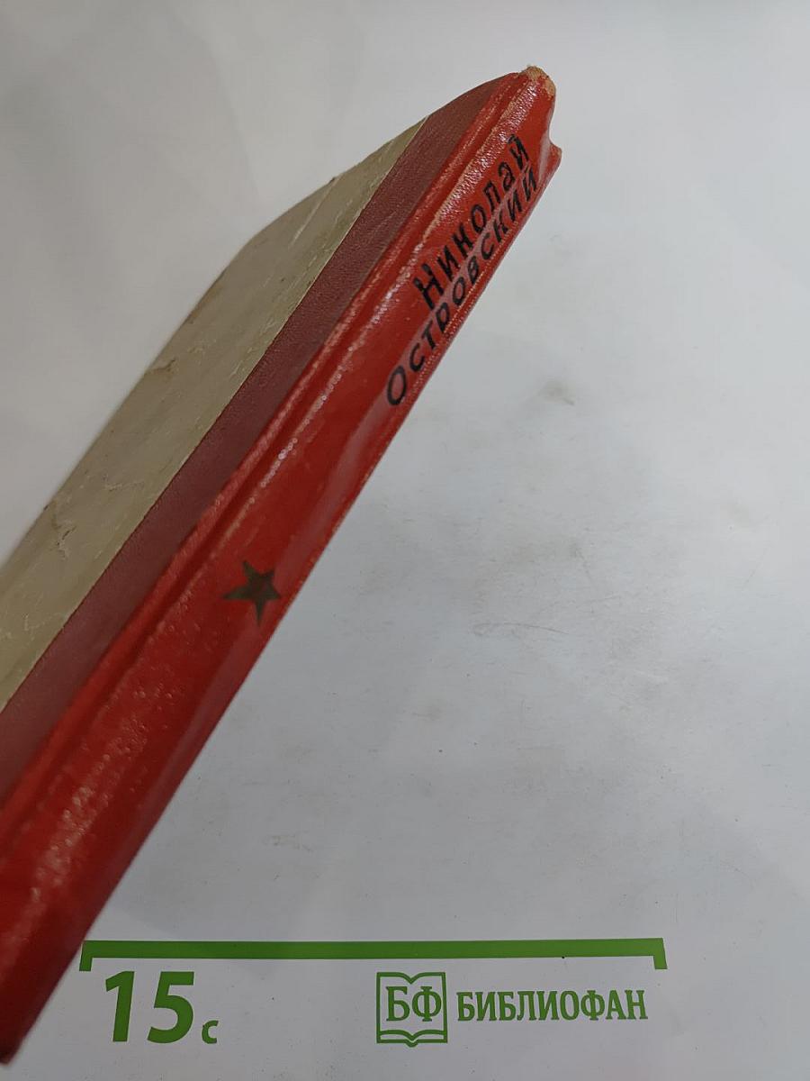 Как закалялась сталь