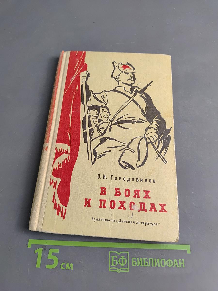 В боях и походах