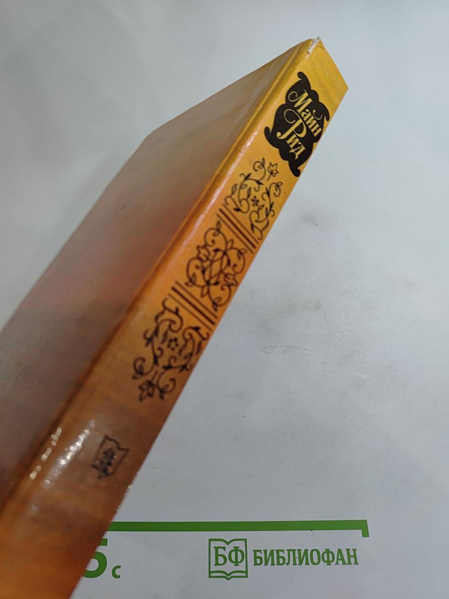 Всадник без головы