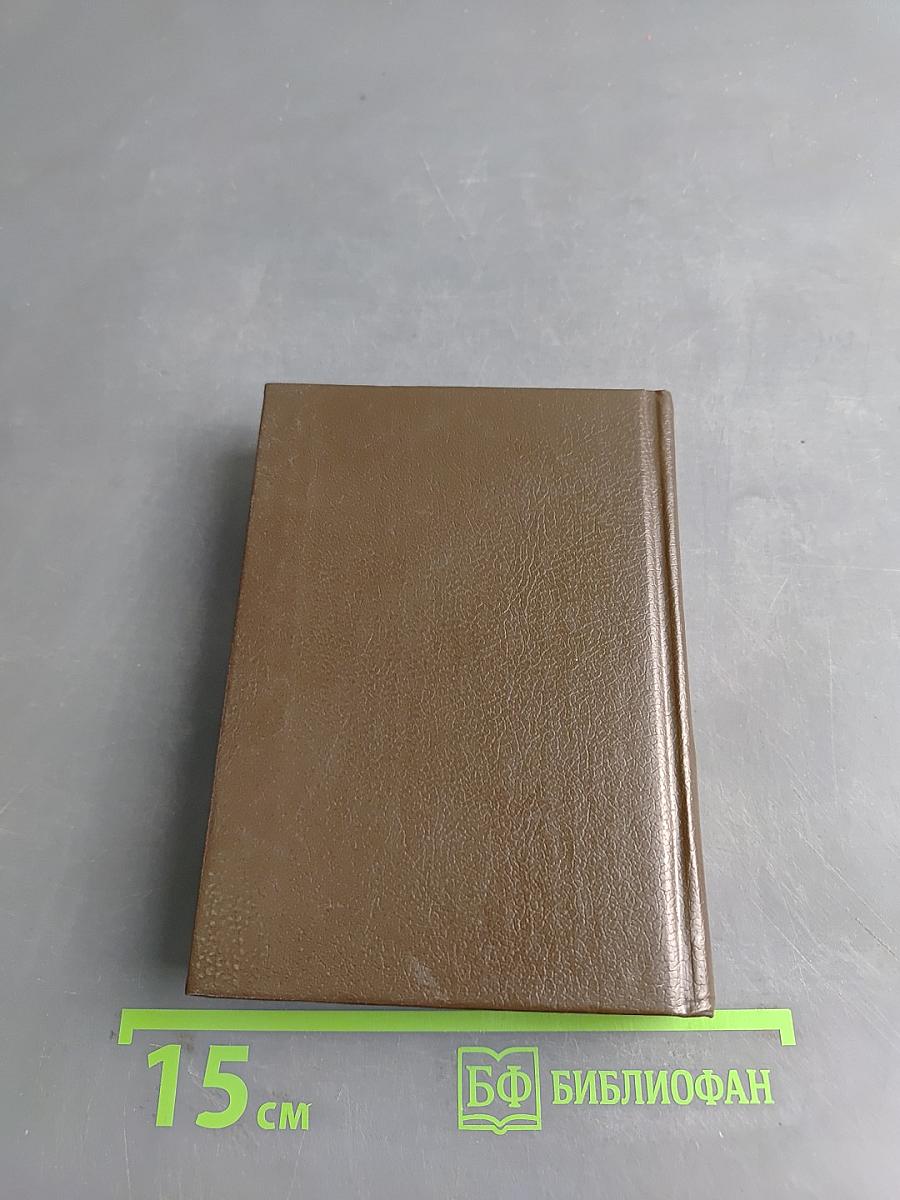 Beginner's English-Russian, Russian-English Dictionary of American English Usage. Англо-русский, русско-английский словарь для начинающих с разговорником и грамматическим справочником (Американский вариант)