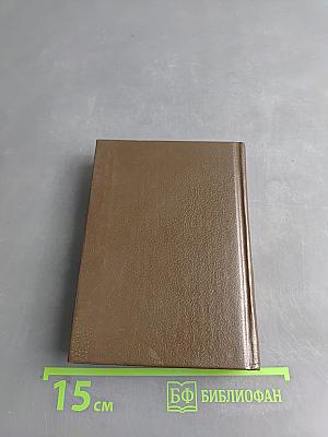 Beginner's English-Russian, Russian-English Dictionary of American English Usage. Англо-русский, русско-английский словарь для начинающих с разговорником и грамматическим справочником (Американский вариант)