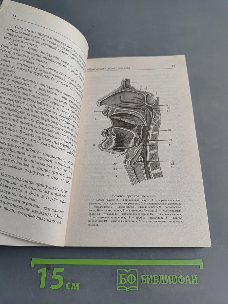 Свежее дыхание
