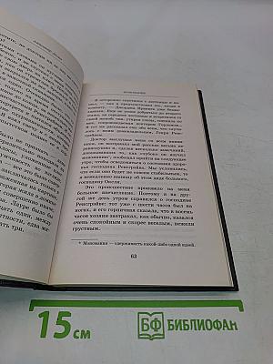 Записки полицейского