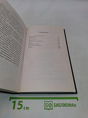 Записки полицейского