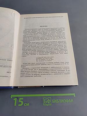 С крючком, мормышкой и блесной