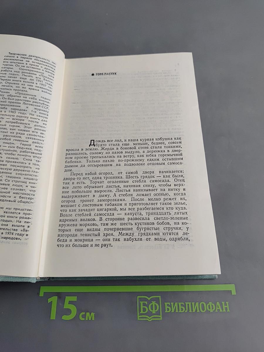 Проданные годы. Книга вторая