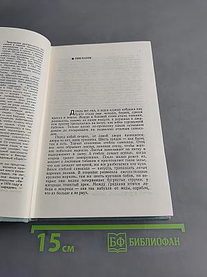 Проданные годы. Книга вторая