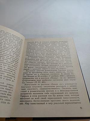 И.С. Тургенев - художник слова