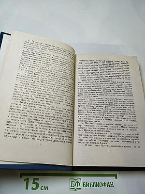 Пионеры, или У истоков Саскуйханны