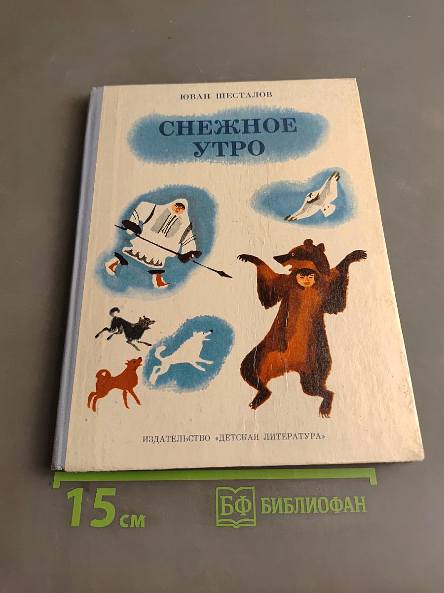 Снежное утро