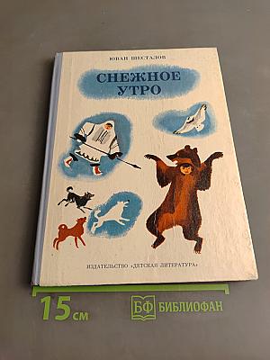 Снежное утро