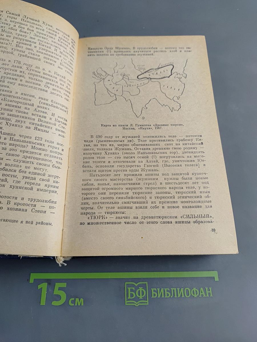 Ибн Сина (Авиценна). Страницы великой жизни