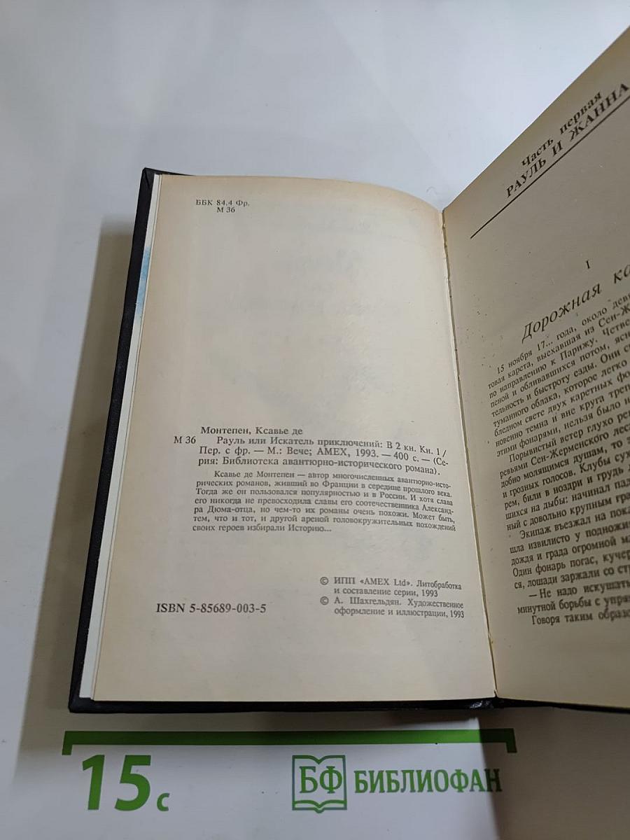 Рауль или Искатель приключений. Книга I