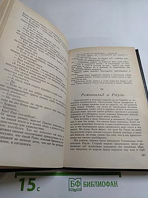 Рауль или Искатель приключений. Книга I