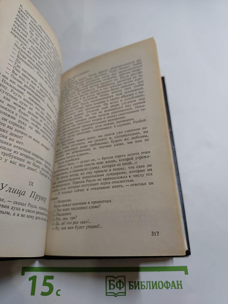 Рауль или Искатель приключений. Книга I