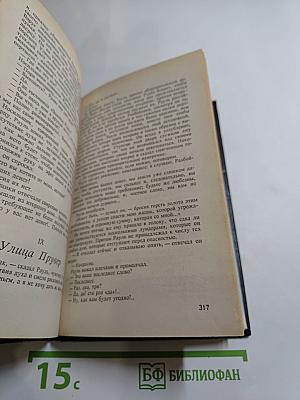 Рауль или Искатель приключений. Книга I