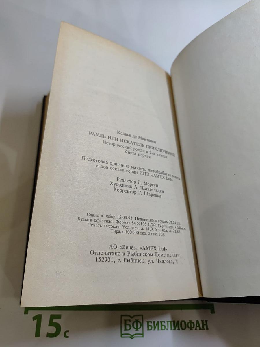 Рауль или Искатель приключений. Книга I