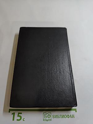 Рауль или Искатель приключений. Книга I