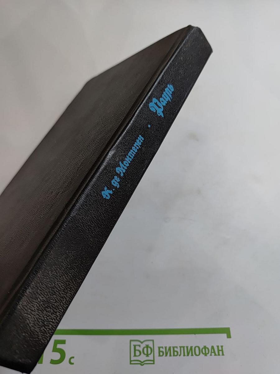 Рауль или Искатель приключений. Книга I