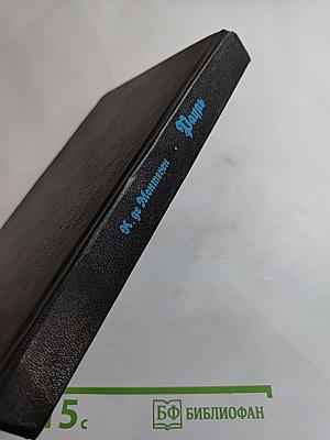 Рауль или Искатель приключений. Книга I