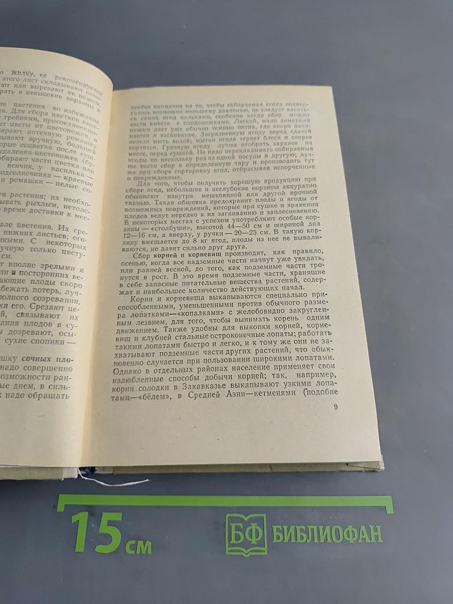 Лекарственные богатства Киргизии