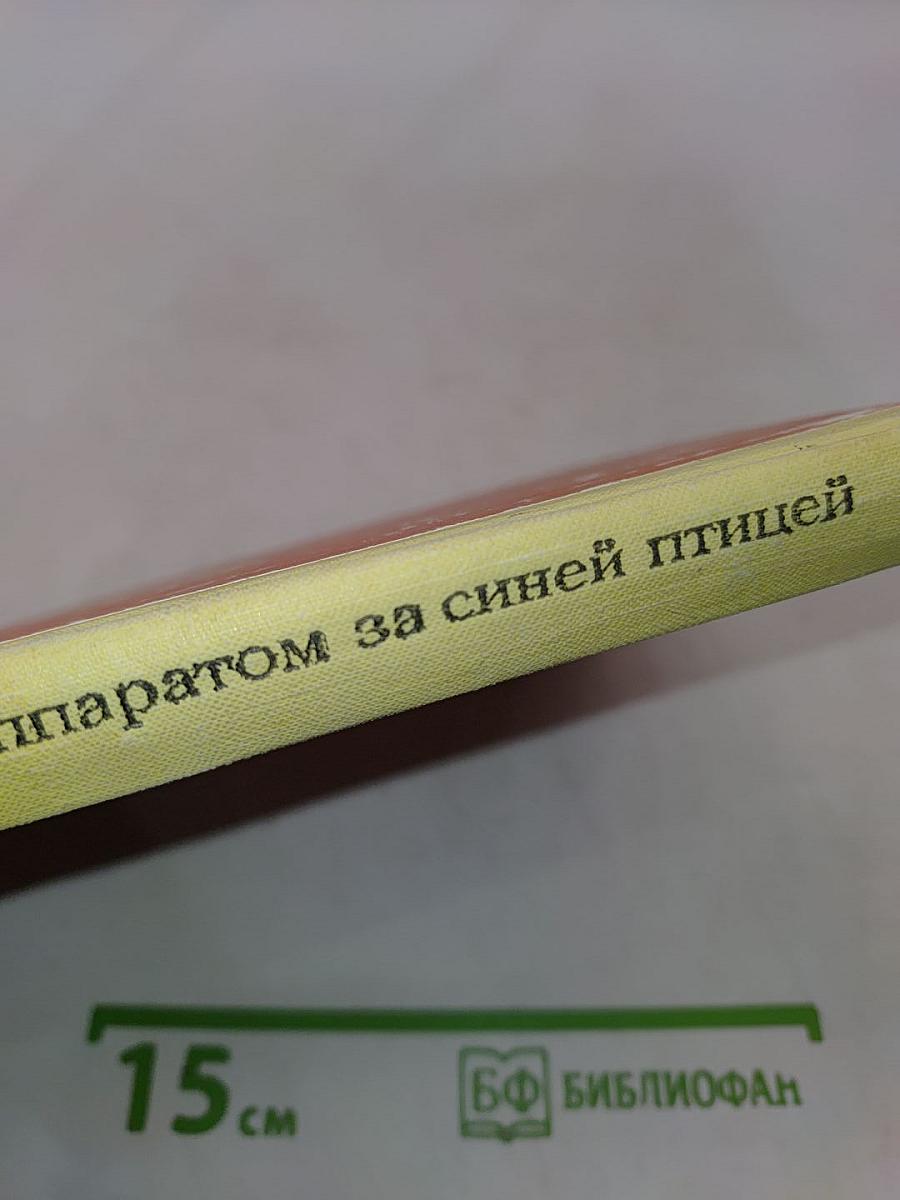 С фото-аппаратом за синей птицей