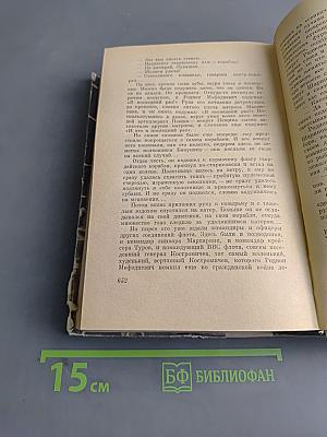 Дорогой мой человек