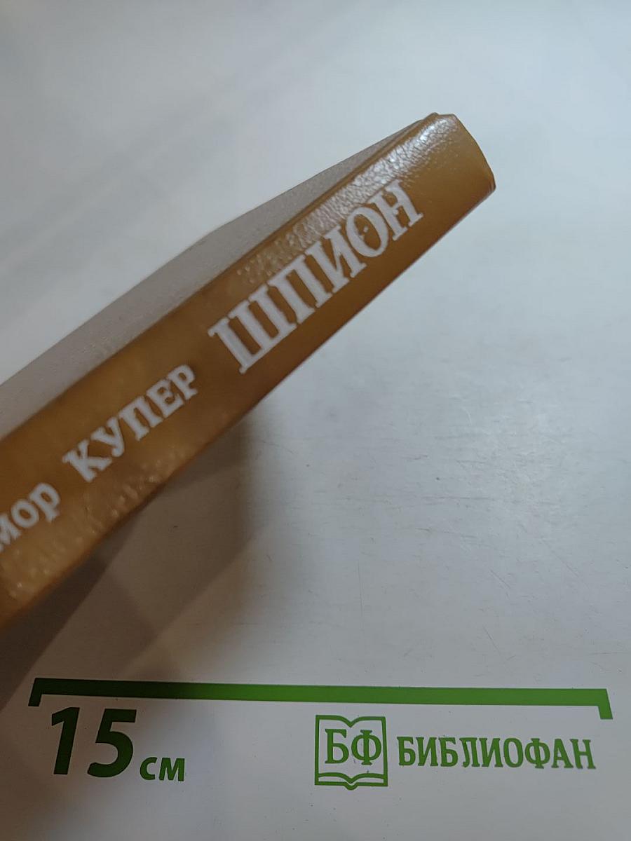 Шпион, или Повесть о нейтральной территории