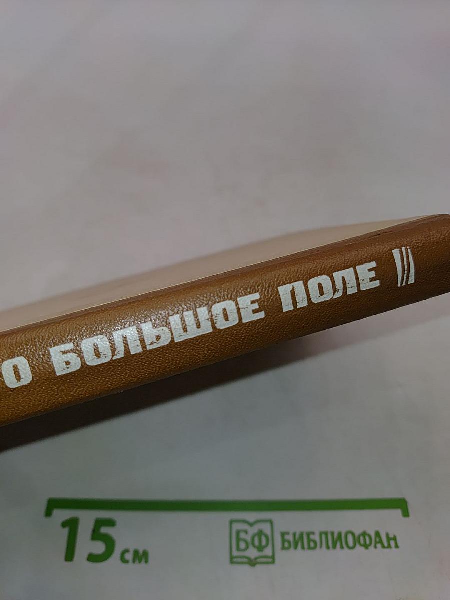 Его большое поле