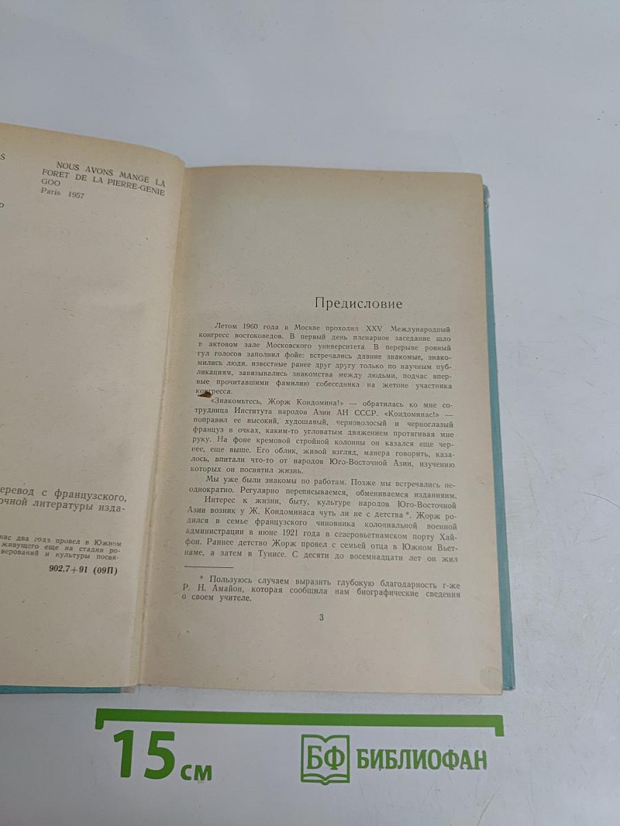Лес священного камня
