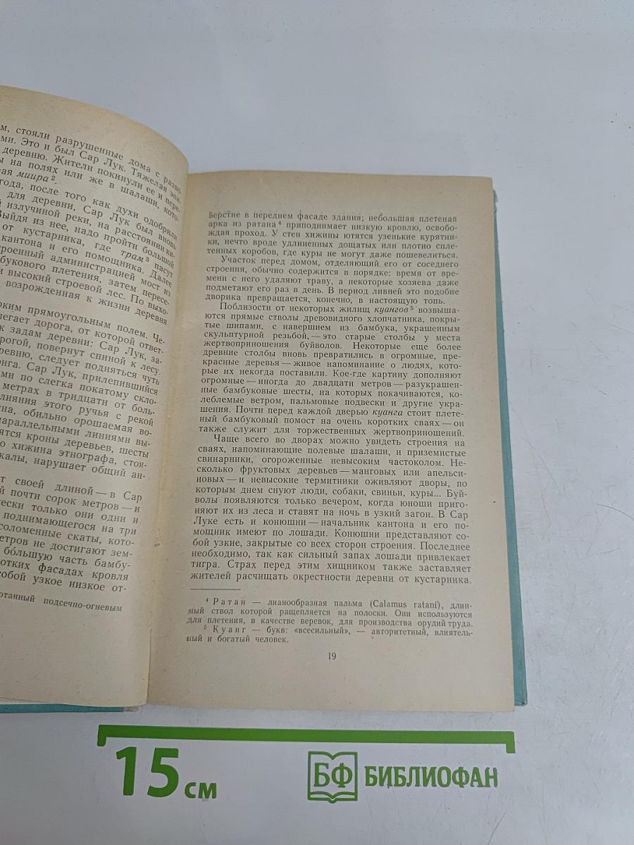 Лес священного камня