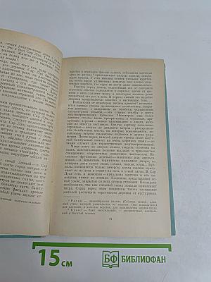 Лес священного камня
