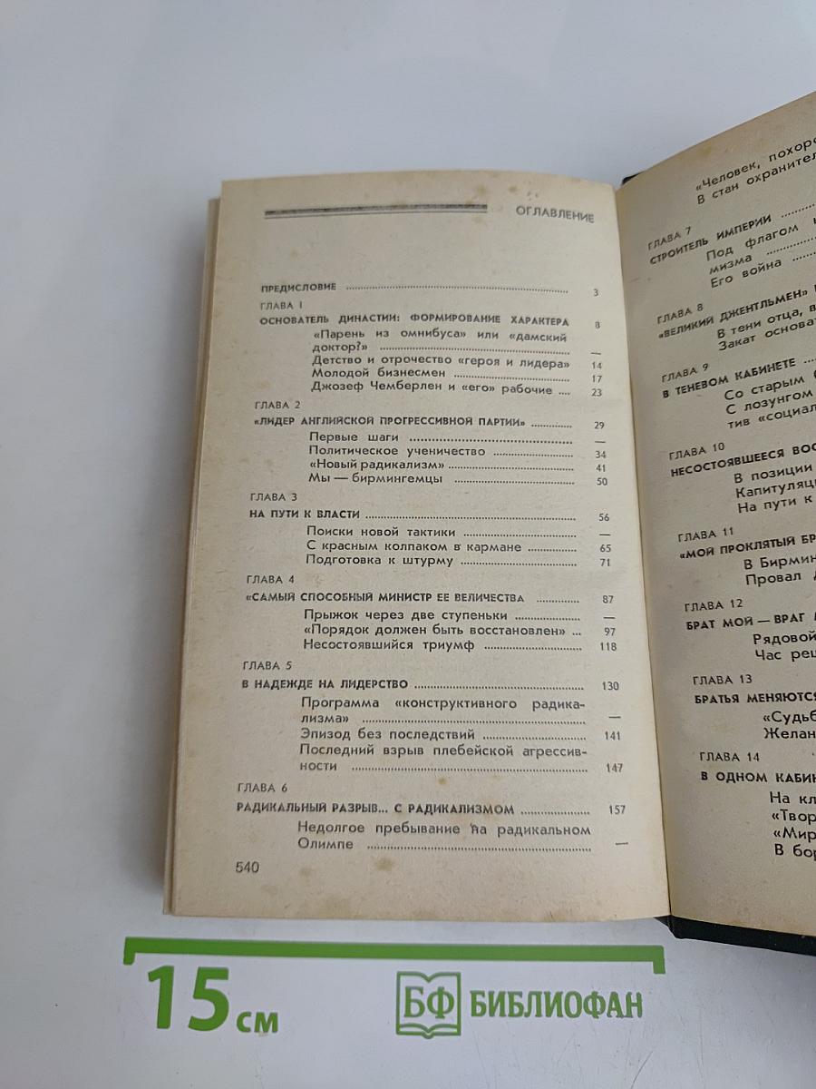 Джозеф Чемберлен и сыновья