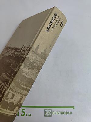 Полное собрание сочинений. Том 9. Переводы и переделки (1865-1886)