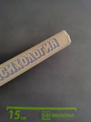 Социальная психология. Краткий очерк