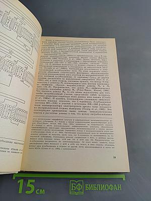 Нейрональные холинорецепторы
